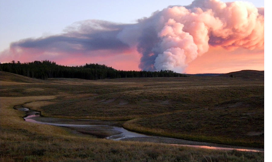 Yellowstone National Park Photograph - Forest Fire by Carolyn Leicht