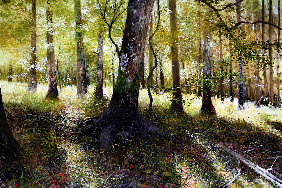 Forest Floor by Kent Sullivan