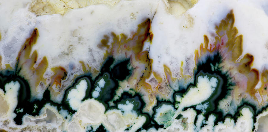 Forest Green Agate, Close-up Of Plumes Photograph by Darrell Gulin