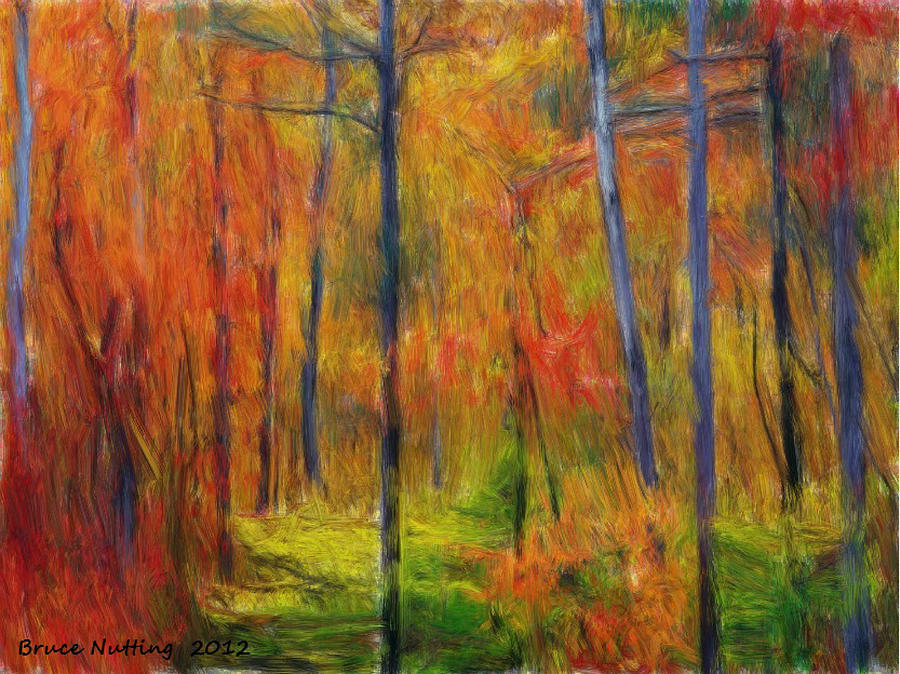 Forest in the Fall Painting by Bruce Nutting