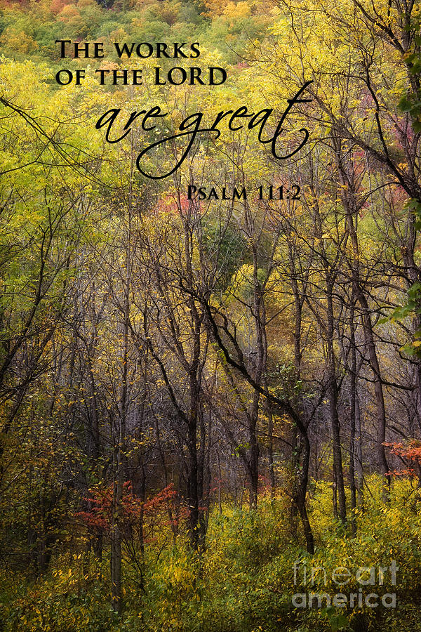 Forest in the Fall Scripture Photograph by Jill Lang