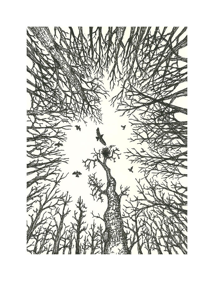 Bird Drawing - Forest in the Trees by Mike Grega