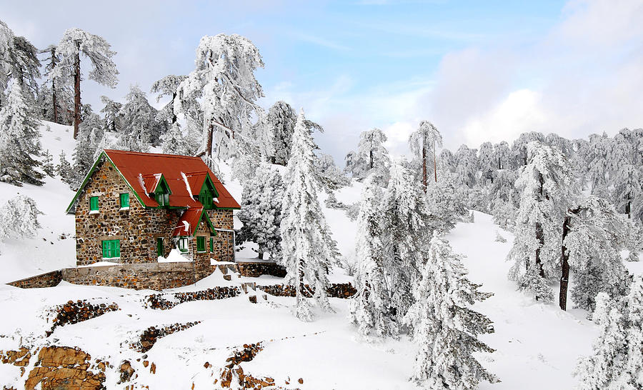 Winter Landscape Photograph by Michalakis Ppalis