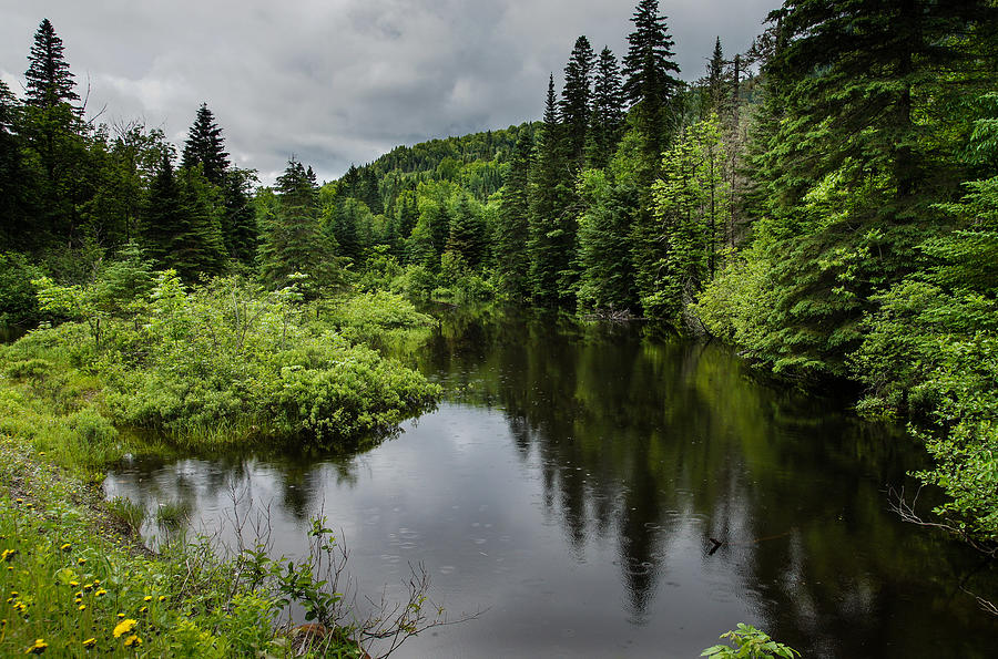 Forest Lake - Quebec - Canada Photograph by Georgia Mizuleva