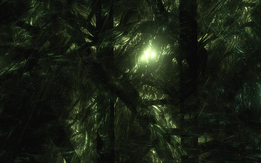 Forest Light Digital Art by Gary Blackman