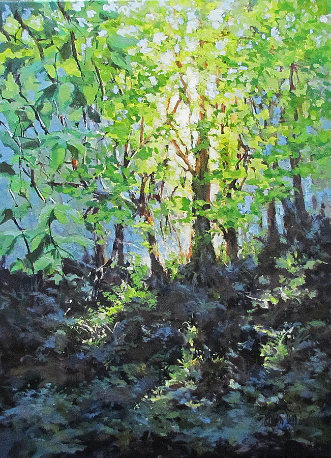 Forest Light Painting by Karen Ilari