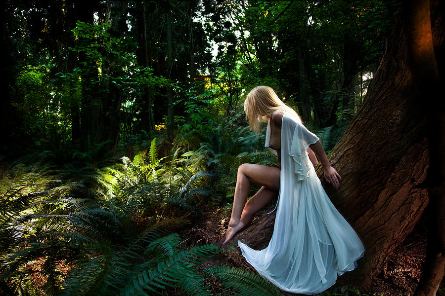 Forest_nymph