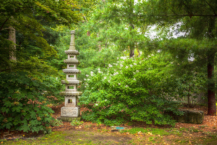 Forest Pagoda Photograph by Ross Henton