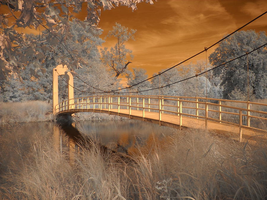 Forest Park Bridge Infrared Photograph by Jane Linders