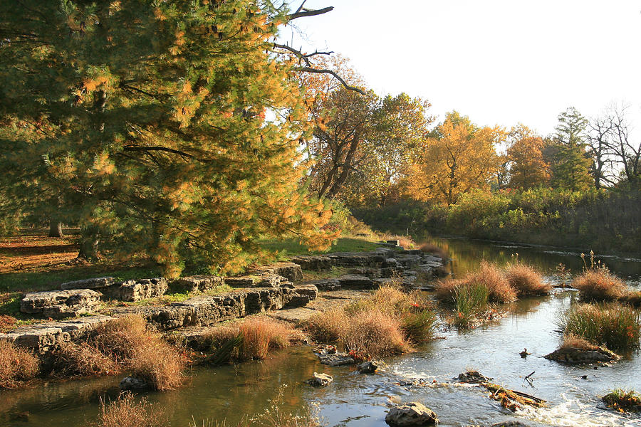 Fall Photograph - Forest Park Creek by Garry McMichael