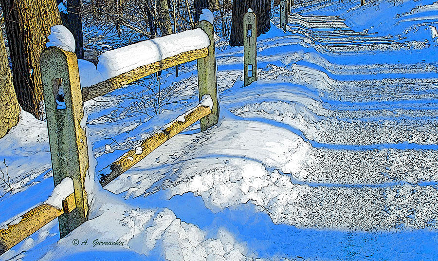 Forest Path in Winter Digital Art by A Macarthur Gurmankin