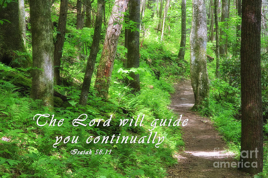 Forest Path with Scripture Photograph by Jill Lang