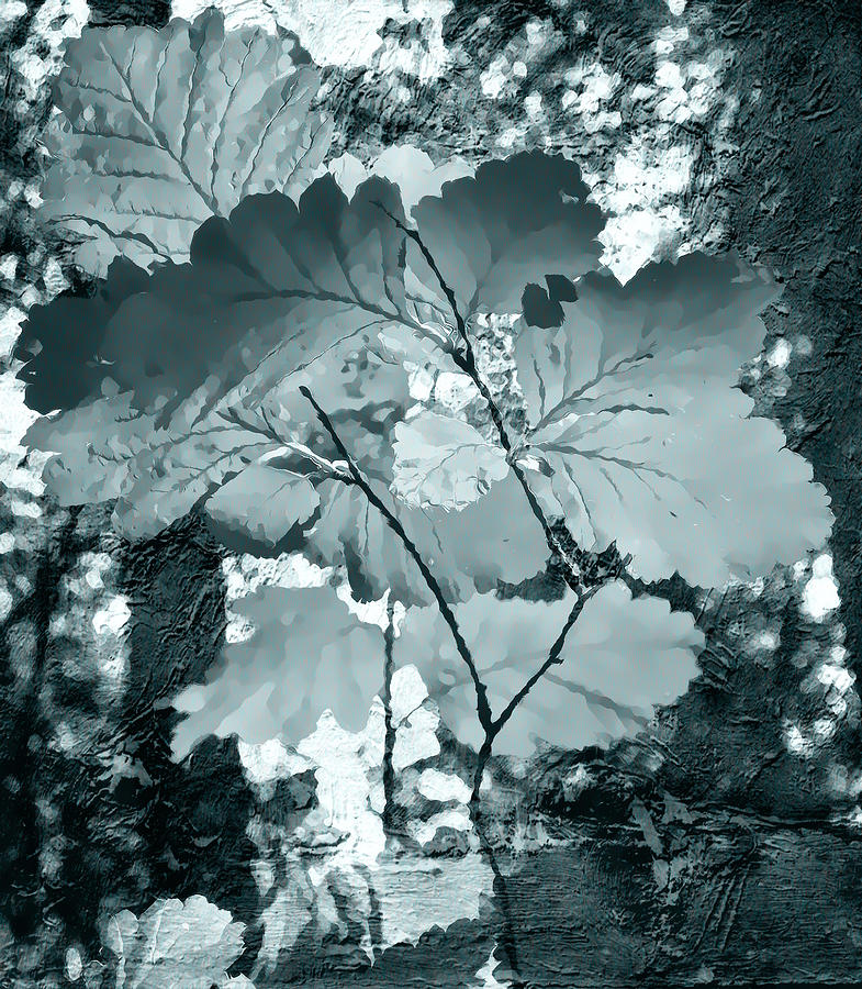 Forest Reach Monochrome Photograph by Kathy Bassett