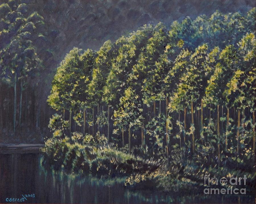 Forest Reflections Painting