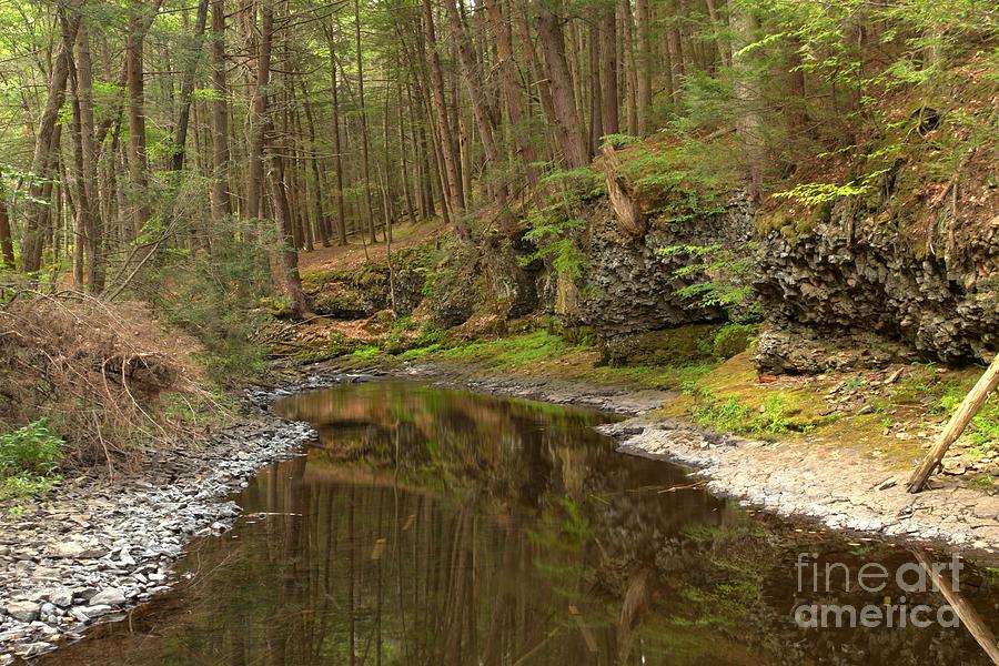 Forest Refletions In Raymondskill Photograph by Adam Jewell