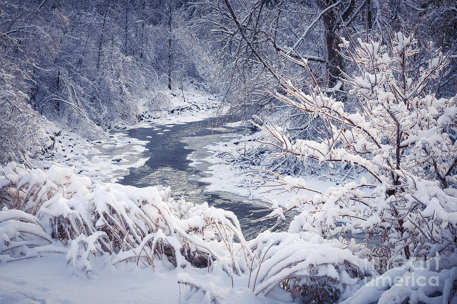 Forest river in winter snow Photograph by Elena Elisseeva