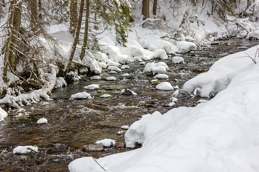 Winter Forest River Photograph