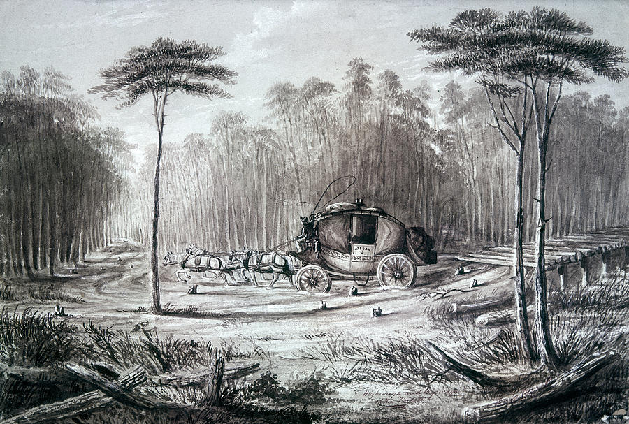 Forest Road, 1836 Drawing by Granger
