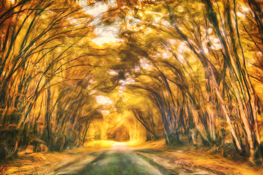 Fall Painting - Forest Road by Joel Olives