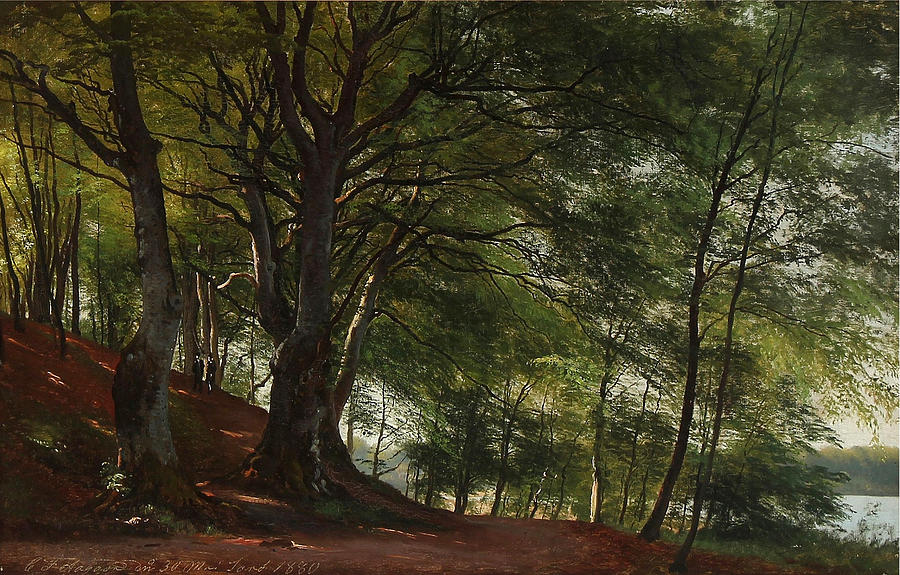 Forest scene from Soro. Denmark Painting by Carl Frederik Aagaard