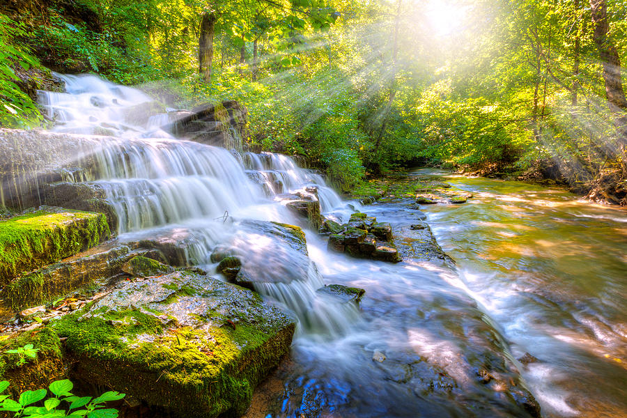 Forest stream and waterfall Photograph by Alexey Stiop