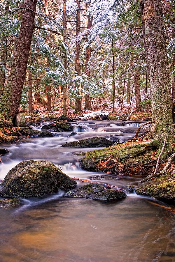 Forest Stream Milford NH Photograph by Jeff Sinon