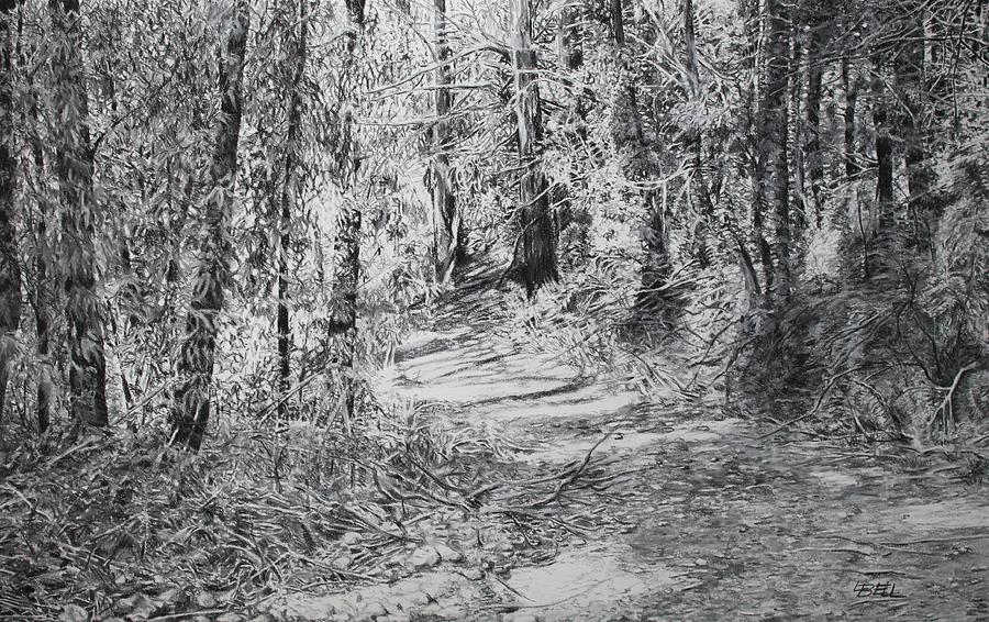 Forest Track Drawing by Leonie Bell