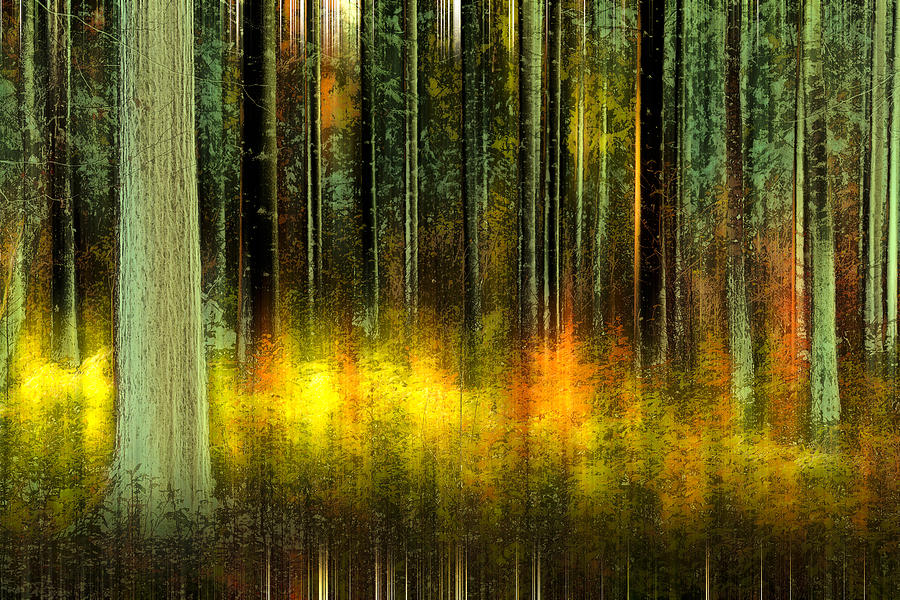 Forest V Photograph by Andy Bitterer