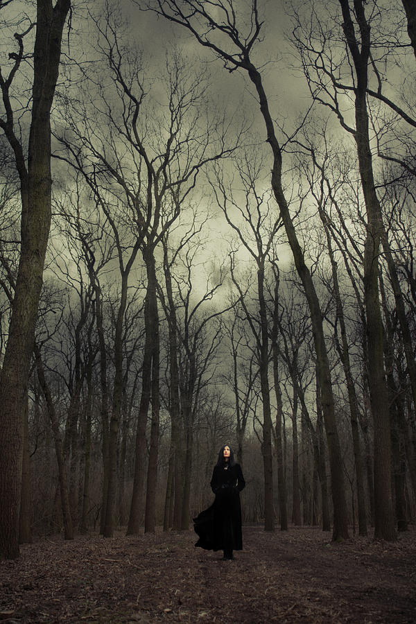 Tree Photograph - Forest witch by Cambion Art