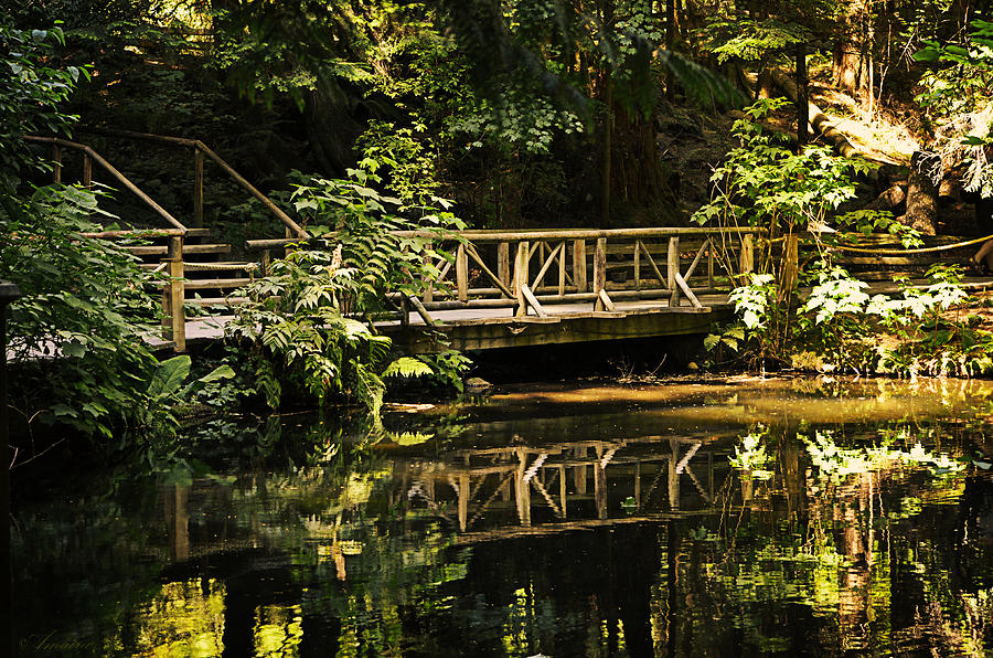 Forest Wooden Bridge Photograph by Maria Angelica Maira