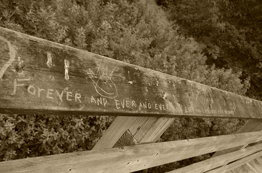 Nature Photograph - Forever and Ever - sepia by Marilyn Wilson
