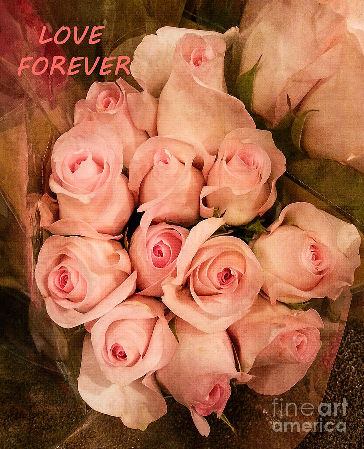 Rose Photograph - Forever by Arlene Carmel