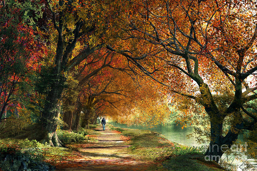 Tree Digital Art - Forever Autumn by MGL Meiklejohn Graphics Licensing