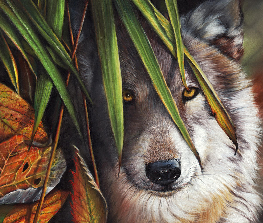 Wildlife Pastel - Forever Autumn by Peter Williams