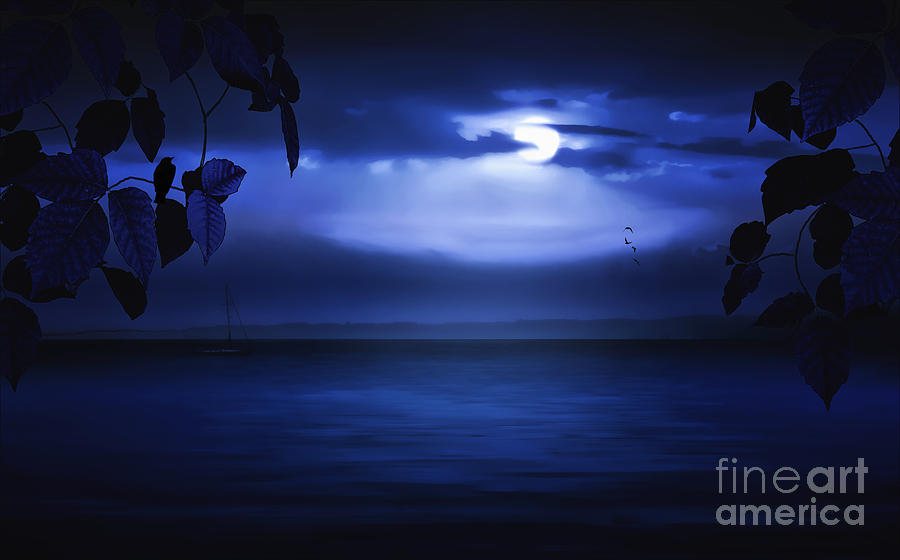 Forever Blue Photograph by Tom York Images - Fine Art America