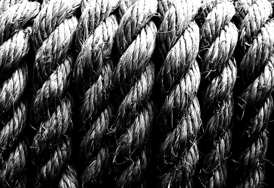 Forever Bound Bw Photograph