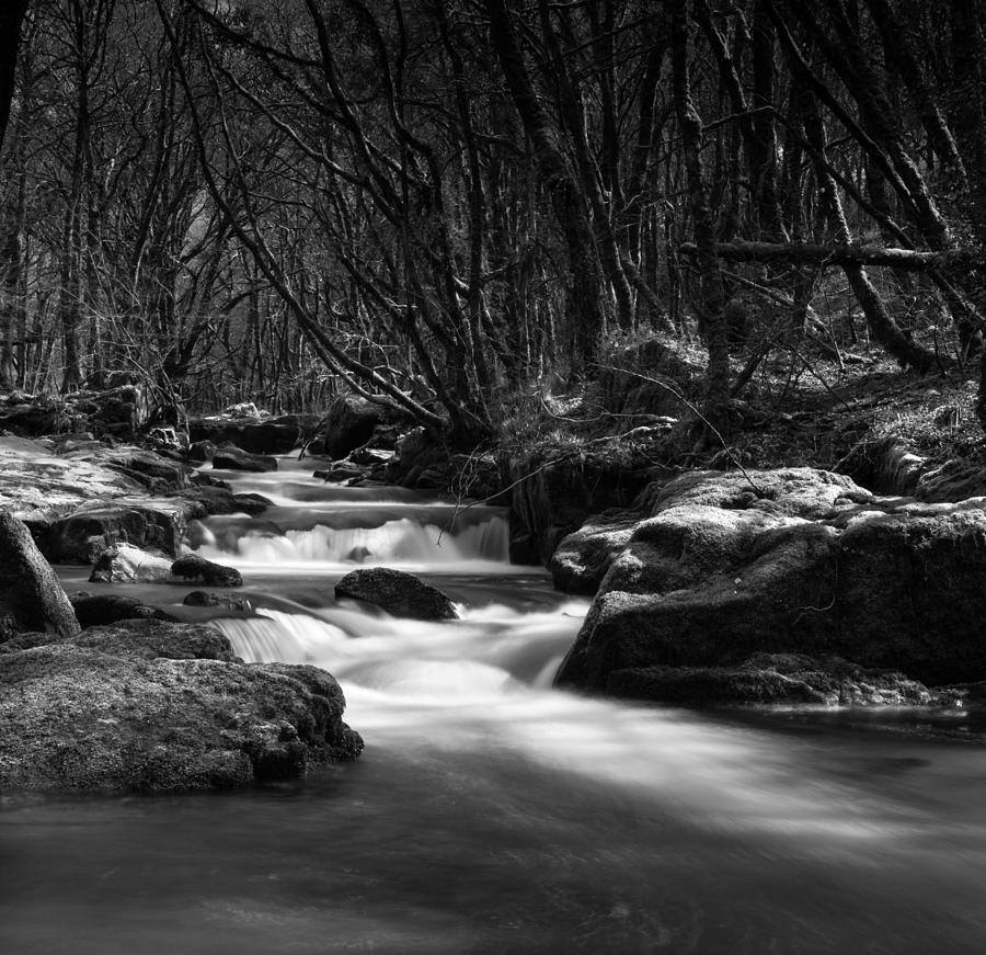 Forever Flowing Photograph By Kingsley Scott Fine Art America