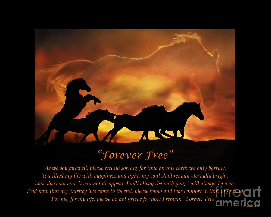 Forever Free Photograph by Stephanie Laird