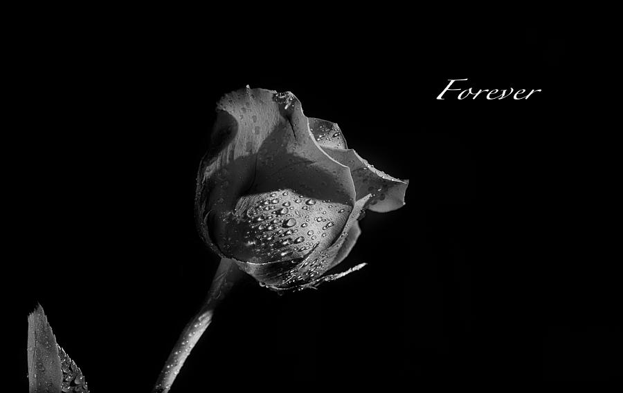 Forever Photograph by Marco Parodi - Fine Art America