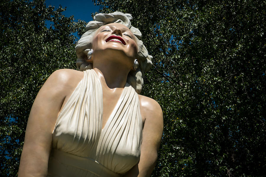 Forever Marilyn Photograph by Glenn DiPaola
