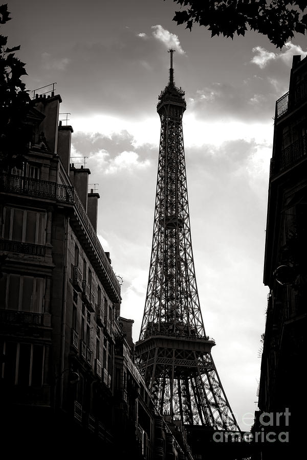 Forever Paris  Photograph by Olivier Le Queinec
