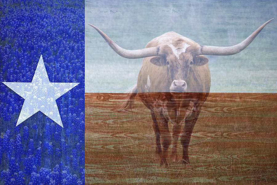 Flag Photograph - Forever Texas by Paul Huchton