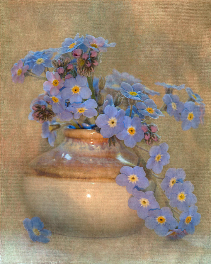 Forget Me Not Bouquet Photograph by Angie Vogel