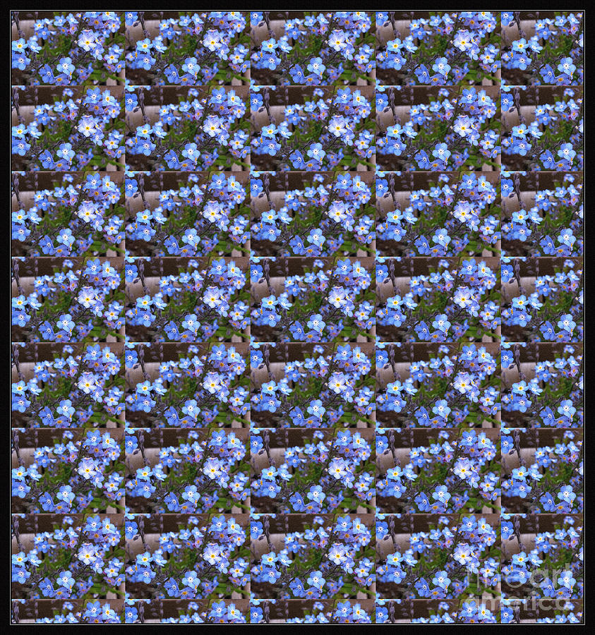 Forget Me Not Flowers Digital Art by Barbara A Griffin