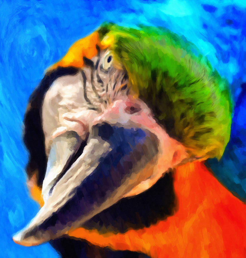 Macaw Painting - Forget My Beak Im Beautiful Inside by Georgiana Romanovna