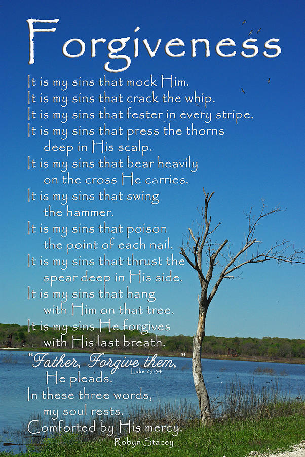 Tree Photograph - Forgiveness It Is My Sins by Robyn Stacey