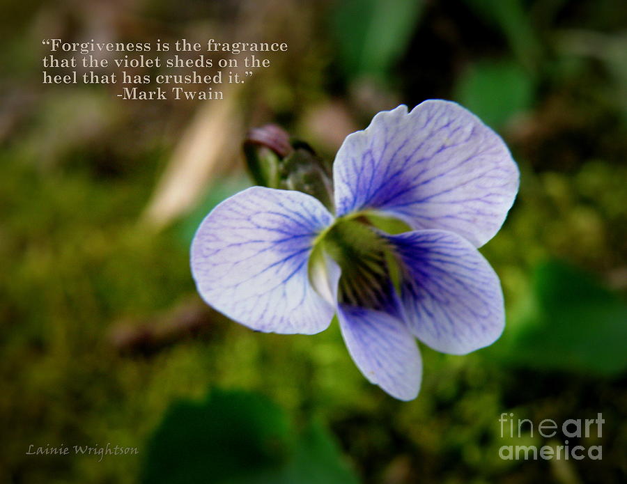 Forgiveness Photograph by Lainie Wrightson