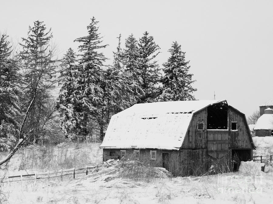 Forgotten Barn Photograph by J L Zarek