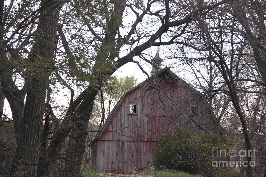 Forgotten Barn Photograph by Yumi Johnson