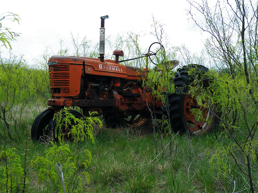 Forgotten Farmall Photograph by The GYPSY and Mad Hatter